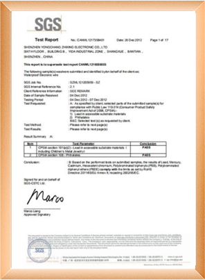 Test Report