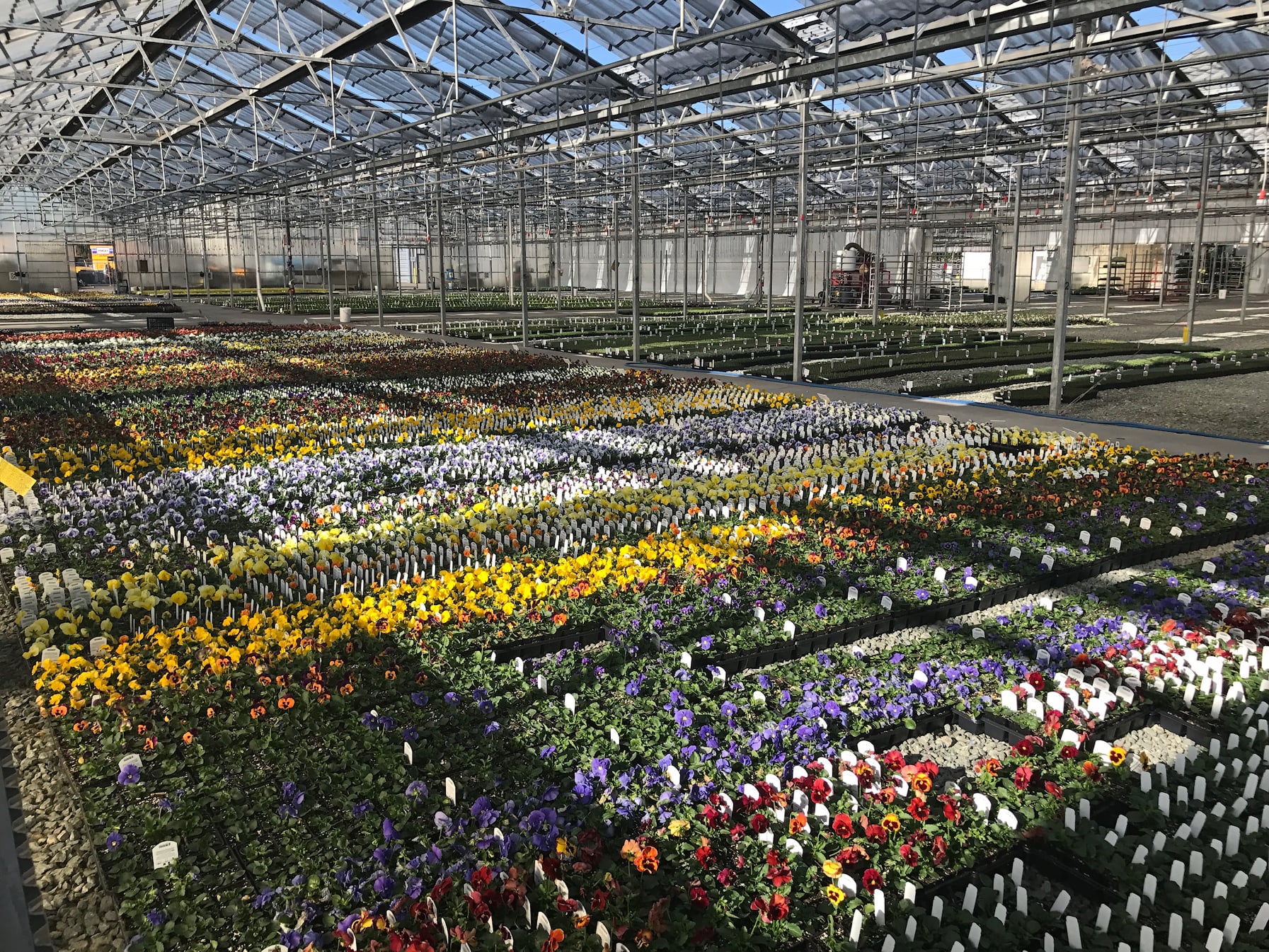 Artificial intelligence irrigation