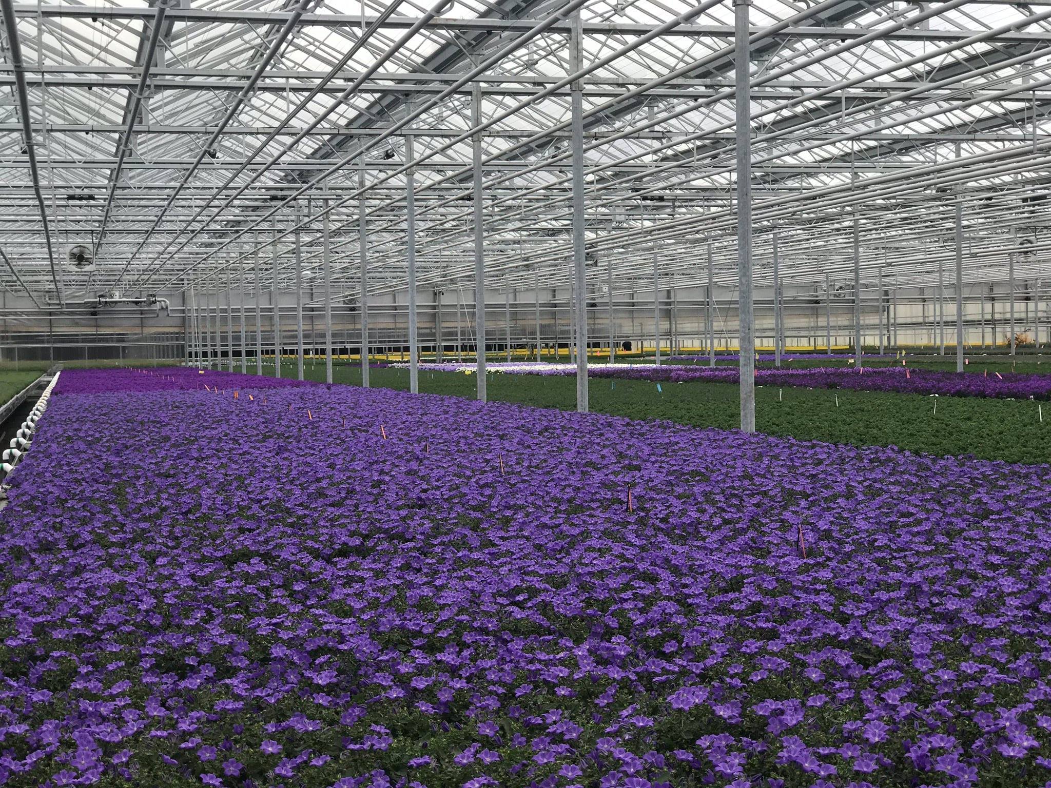 How Waterproof Connectors Enable Smart Agriculture and AI Irrigation